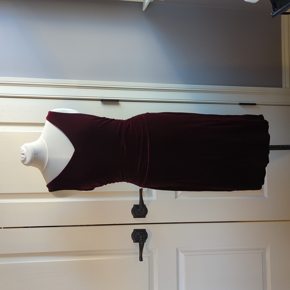 BCBG MaxAzaria Burgundy Velvet Dress